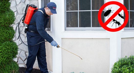 Güzelyalı Kene İlaçlama böcek ilaçlama ve haşere kontrolü — ilaclama-tr.com